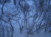 P1070155.JPG