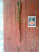 IMG_20170108_133546.jpg