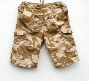shorts.jpg