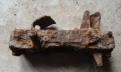 DSC02309.JPG