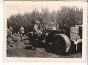 SS-17333.jpg