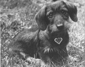 image008.jpg