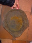 201020112277.jpg