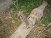 октябрь2011 005.jpg