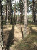 IMG_0061.jpg