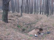 Изображение 115.jpg