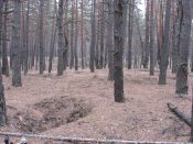 Изображение 136.jpg