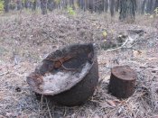 Изображение 064.jpg