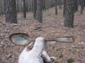 Изображение 147.jpg