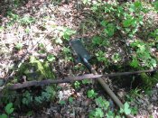 IMG11.JPG