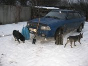 Изображение 164.jpg