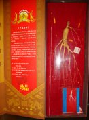 DSC04673.JPG