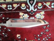 Lenovo_A1000_IMG_20170113_133902.jpg