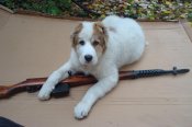 DSC07407.JPG
