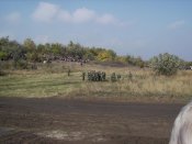 IMG_9338.jpg