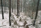 r001-02501.jpg