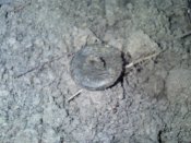 102011104639.jpg