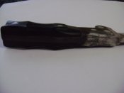 DSC06206.jpg