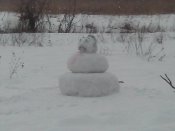 IMG_20170115_102639_thumb.jpg