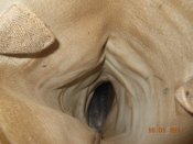 DSCN5151.JPG