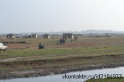 DSC_2382.jpg