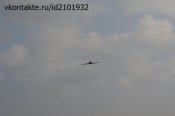 DSC_2425.jpg