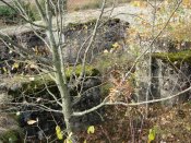9-16 октября_2011 108.jpg