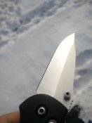 IMG_20170119_095620.jpg