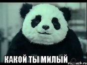 panda-ni-hujnya_55232592_orig_.jpg