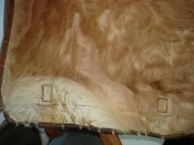 DSC07602.JPG