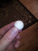 IMG_20170121_155737.jpg