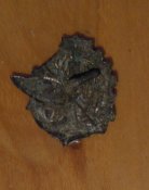 DSCN6064.jpg