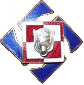 Liga_Obrony_Powietrznej_i_Przeciwgazowej-badge.jpg