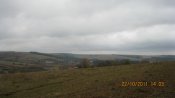 IMG_2226.jpg