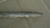 IMGA0572.JPG