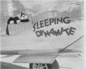 BAD2-Nose Art - SleepingDynamite-Lg.jpg