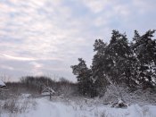 DSCN5181.JPG