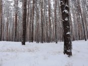 DSCN5191.JPG