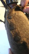 IMG_2033.jpg