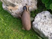 Photo-0183 (Средний).jpg