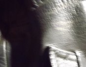 DSCF9008.JPG