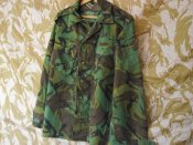 2011_10280010.JPG