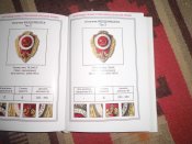CIMG6639.JPG