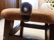 CAM01572.jpg