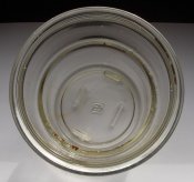 225.jpg