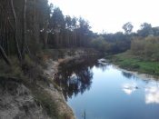 IMG_20160917_154658.jpg