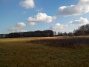IMG_20161105_121735.jpg