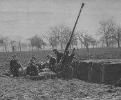 3,7-cmFlak18-1.jpg