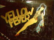yellow-fever.jpg