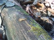 DSC02374.jpg